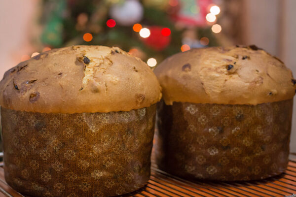 Panettone